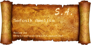 Sefcsik Amelita névjegykártya